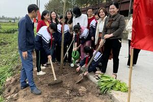 Trường Tiểu học Dị Chế “Hưởng ứng Tết trồng cây - Đời đời nhớ ơn Bác Hồ ” Xuân Giáp Thìn 2024